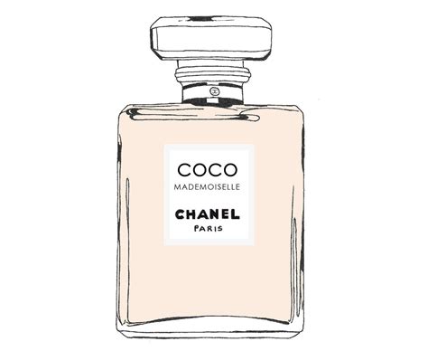 chanel perfumes logo|chanel perfume logo vector.